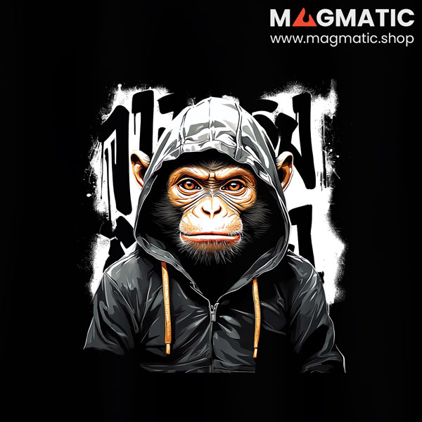 visuel street hoodie singe